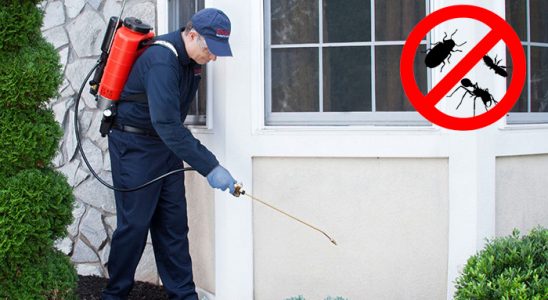 Pehlivanköy Böcek ve Haşere İlaçlama böcek ilaçlama ve haşere kontrolü — ilaclama-tr.com